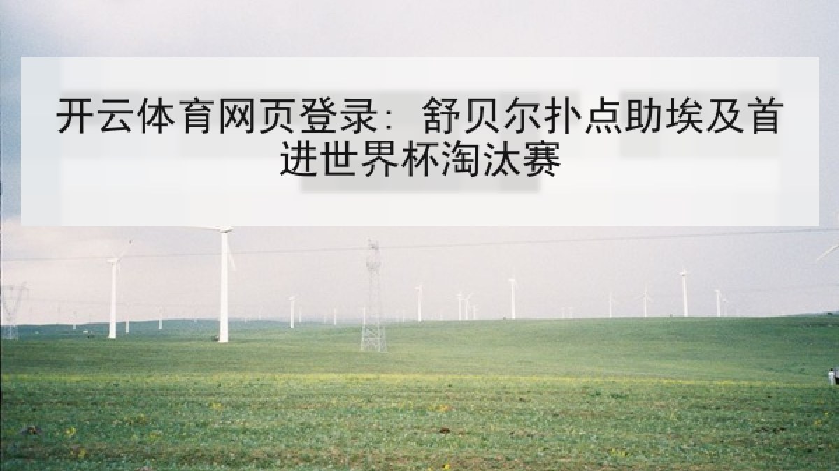 开云体育网页登录: 舒贝尔扑点助埃及首进世界杯淘汰赛
