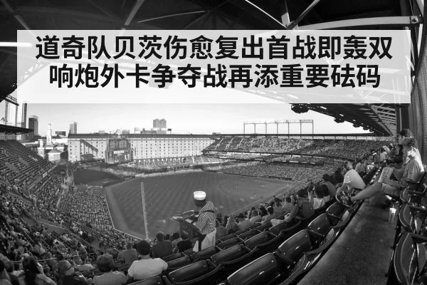 baseball stadium crowd